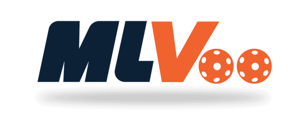 TO CELEBRATE GARY VEE’S BIRTHDAY, THIS NOVEMBER 14TH WE’RE CHANGING OUR NAME FOR THE DAY FROM MLP TO MLVEE!