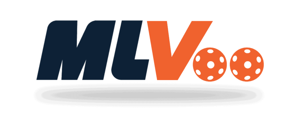 TO CELEBRATE GARY VEE’S BIRTHDAY, THIS NOVEMBER 14TH WE’RE CHANGING OUR NAME FOR THE DAY FROM MLP TO MLVEE!